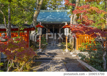 Akayama Zen-in Temple in autumn, Kyoto, the main hall covered in autumn leaves Akayama Zen-in Temple in autumn, Kyoto, the main hall covered in autumn leaves 109053700