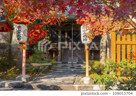 Akayama Zen-in Temple in autumn, Kyoto, the main hall covered in autumn leaves 109053704