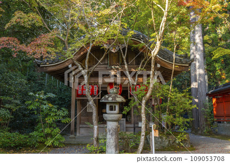 Kyoto, Akayama Zen-in in autumn, Benzaiten-do Hall covered in autumn leaves 109053708