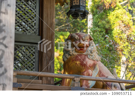 秋天，京都赤山禪院正殿裡供奉的守護犬 109053711