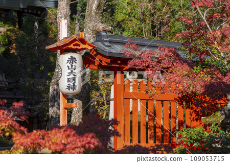 Kyoto, Autumn Akayama Zen-in main hall, lanterns and vermilion Tamagaki with Akayama Daimyojin written on it 109053715
