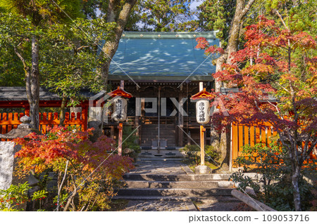 Akayama Zen-in Temple in autumn, Kyoto, the main hall covered in autumn leaves Akayama Zen-in Temple in autumn, Kyoto, the main hall covered in autumn leaves 109053716