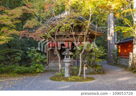 Kyoto, Akayama Zen-in in autumn, Benzaiten-do Hall covered in autumn leaves Kyoto, Akayama Zen-in in autumn, Benzaiten-do Hall covered in autumn leaves 109053720