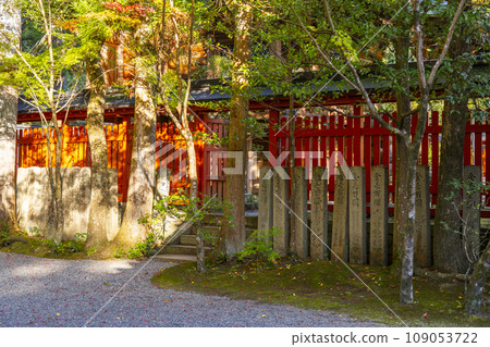 Kyoto Autumn Akayama Zen-in Main Hall Tamagaki 109053722