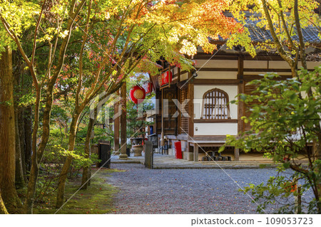 Kyoto, Akayama Zen-in in autumn, Honjido (Jizodo) wrapped in autumn leaves Kyoto, Akayama Zen-in in autumn, Honjido (Jizodo) wrapped in autumn leaves 109053723