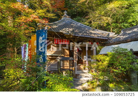 Kyoto Autumn Akayama Zen-in Temple Fukurokujuden, one of the Seven Deities of Fortune Kyoto Autumn Akayama Zen-in Temple Fukurokujuden, one of the Seven Deities of Fortune 109053725