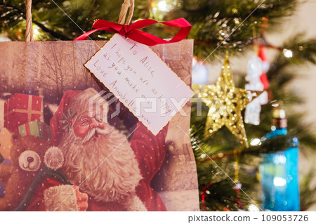 Australian Christmas Decorations on a Tree 109053726