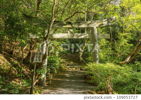 Kyoto, Akayama Zen-in in autumn, stone torii on the approach to Kin Shrine, Kankiten, and Aioi Shrine 109053727