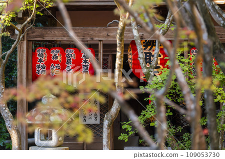 Kyoto, Akayama Zen-in in autumn, Benzaiten-do Hall covered in autumn leaves Kyoto, Akayama Zen-in in autumn, Benzaiten-do Hall covered in autumn leaves 109053730