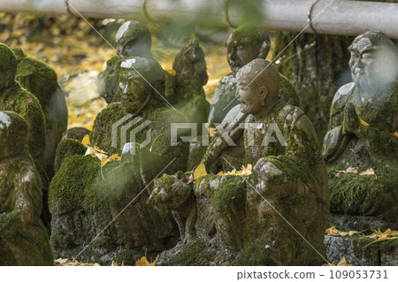 Kyoto, Akayama Zen-in in autumn, 16 Arhat stone statues and ginkgo leaves Kyoto, Akayama Zen-in in autumn, 16 Arhat stone statues and ginkgo leaves 109053731