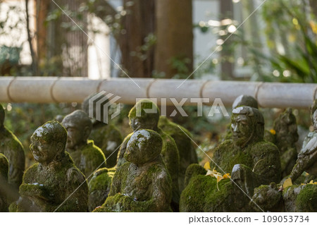 Kyoto, Akayama Zen-in in autumn, 16 Arhat stone statues and ginkgo leaves 109053734
