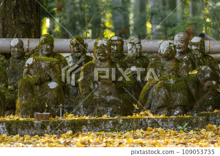 Kyoto, Akayama Zen-in in autumn, 16 Arhat stone statues and ginkgo leaves Kyoto, Akayama Zen-in in autumn, 16 Arhat stone statues and ginkgo leaves 109053735