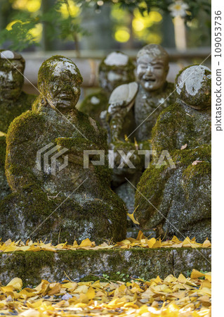 Kyoto, Akayama Zen-in in autumn, 16 Arhat stone statues and ginkgo leaves Kyoto, Akayama Zen-in in autumn, 16 Arhat stone statues and ginkgo leaves 109053736