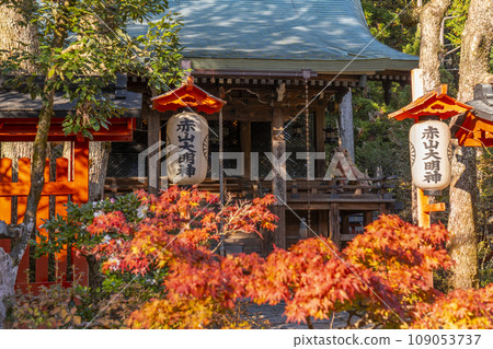 Akayama Zen-in Temple in autumn, Kyoto, the main hall covered in autumn leaves Akayama Zen-in Temple in autumn, Kyoto, the main hall covered in autumn leaves 109053737