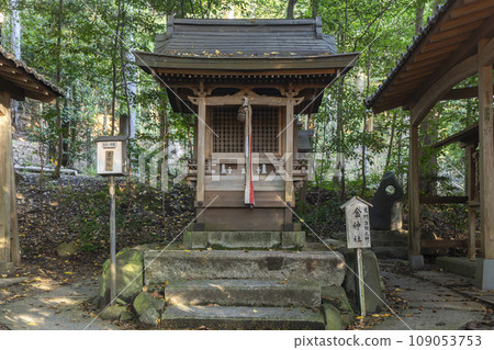 Kyoto Autumn Akayama Zen-in Golden Shrine 109053753
