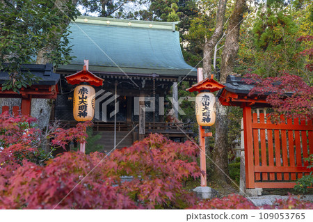 Kyoto, Akayama Zen-in in autumn, the main shrine covered in autumn leaves, lanterns lit up 109053765