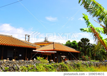 沖繩縣竹富島的街景 沖繩縣竹富島的街景 109054631