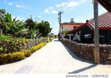Townscape of Taketomi Island, Okinawa Prefecture 109054632