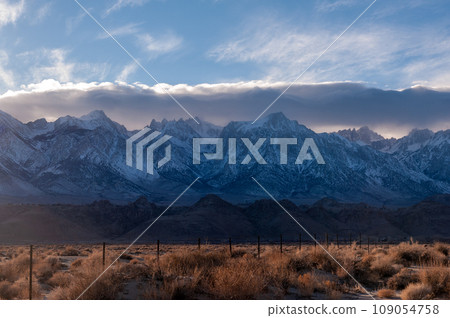 Lone pine California 109054758