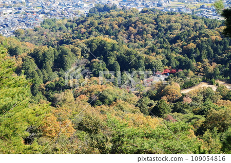 Scenery of the forest at the foot of the mountain seen from Mikumo Castle Scenery of the forest at the foot of the mountain seen from Mikumo Castle 109054816