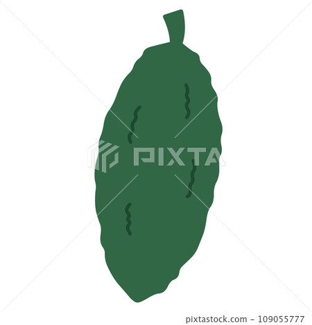 Bitter gourd 109055777