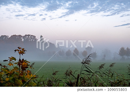 Mystic Dawn in the Meadow 109055803