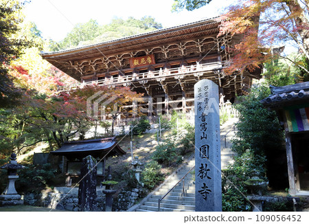 秋葉的書寫山圓教寺摩尼殿(兵庫縣姬路市) 秋葉的書寫山圓教寺摩尼殿(兵庫縣姬路市) 109056452