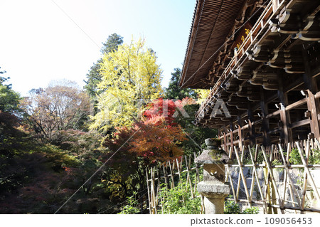 秋葉的書寫山圓教寺摩尼殿(兵庫縣姬路市) 秋葉的書寫山圓教寺摩尼殿(兵庫縣姬路市) 109056453