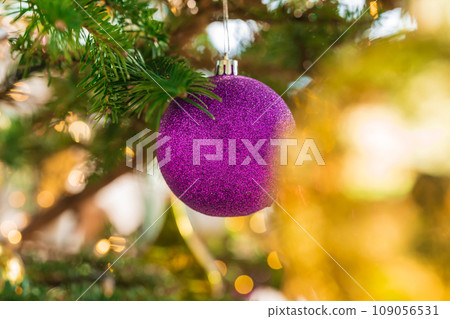Christmas/winter image 109056531