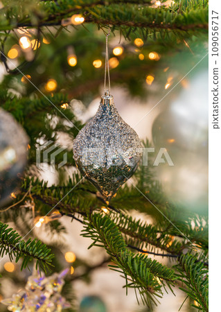 Christmas/winter image 109056717