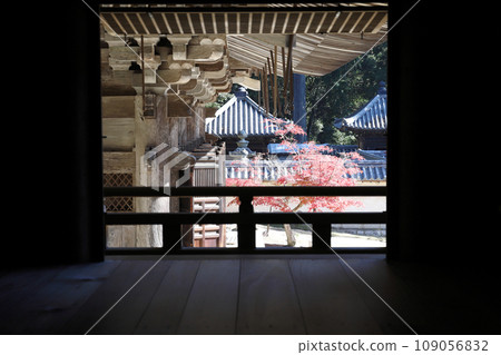 從書寫山圓教寺的食堂看到的禮堂（兵庫縣姬路市） 109056832