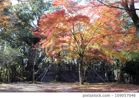 書寫山圓教寺、榊原氏陵區(兵庫縣姬路市) 書寫山圓教寺、榊原氏陵區(兵庫縣姬路市) 109057046