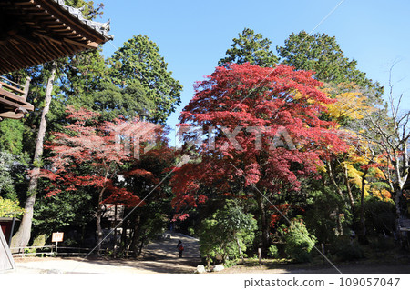 書寫山圓教寺、榊原氏陵區(兵庫縣姬路市) 書寫山圓教寺、榊原氏陵區(兵庫縣姬路市) 109057047