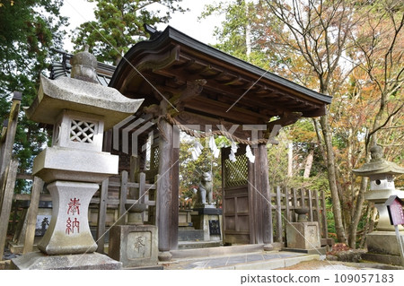 Oguchi Shinjin Shrine in autumn, Tokyo 109057183