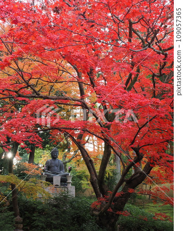 秋葉在京都 109057365