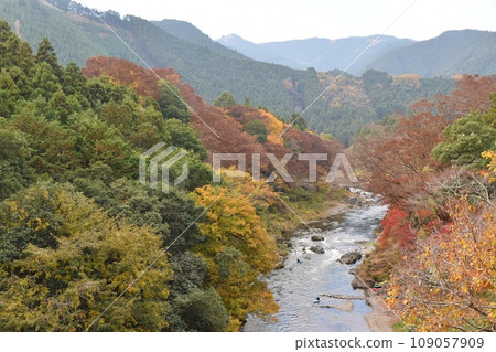 Mitake Valley with autumn leaves, Tokyo Mitake Valley with autumn leaves, Tokyo 109057909