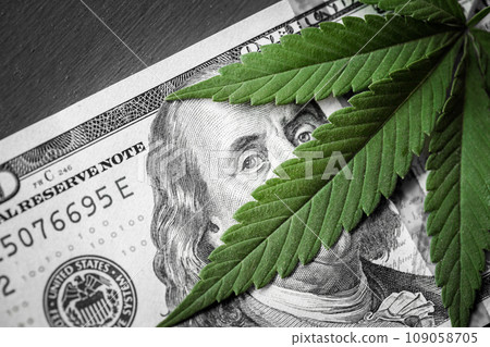Money and marijuana. Concept of business, medicine and selling hemp, drugs. 109058705
