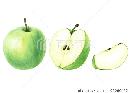 A set of green apple and slices. Hand drawn botanical watercolor illustration isolated on white background. For clip art, cards, menu 109060492