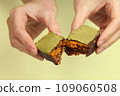 Woman's hands breaking vegan chocolate bar with dried fruits 109060508