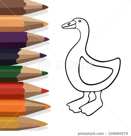 Vector isolated illustration of a goose coloring page. Tasks for preschool children. Vector isolated illustration of a goose coloring page. Tasks for preschool children. 109060879