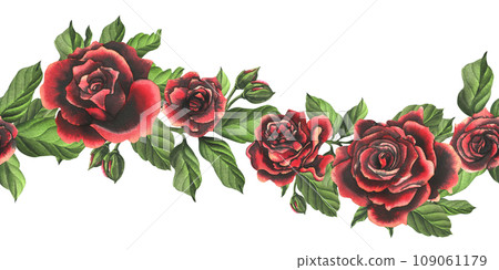 Red-black rose flowers with green leaves and buds, chic, bright, beautiful. Hand drawn watercolor illustration. Seamless border a white background, for decoration and design Red-black rose flowers with green leaves and buds, chic, bright, beautiful. Hand drawn watercolor illustration. Seamless border a white background, for decoration and design 109061179