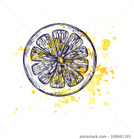 A cut round piece of lemon with yellow splashes. Graphic botanical illustration hand drawn in blue ink. Isolated object EPS vector 109061185