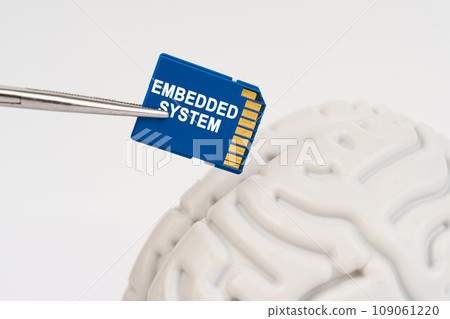 A man inserts a memory card into his brain with the inscription - Embedded system 109061220