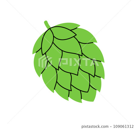 Hop cone. Beer pub product. Brewing process, brewery factory production element. Vector illustration. Hop cone. Beer pub product. Brewing process, brewery factory production element. Vector illustration. 109061312