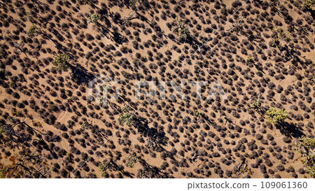 The wide rural landscape of the Arizona desert - aerial view from above 109061360