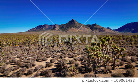The wide rural landscape of the Arizona desert - aerial view from above 109061488