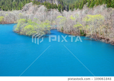 Lake Hosen in early spring 109061848