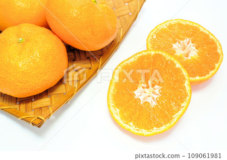 Nichinan special oranges Nichinan special oranges 109061981