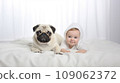 Little child and dog lying on snow-white bed next to each other 109062372