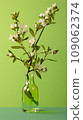 branch with blossoming flowers in a glass vase, concept of the arrival of spring, vertical photo 109062374